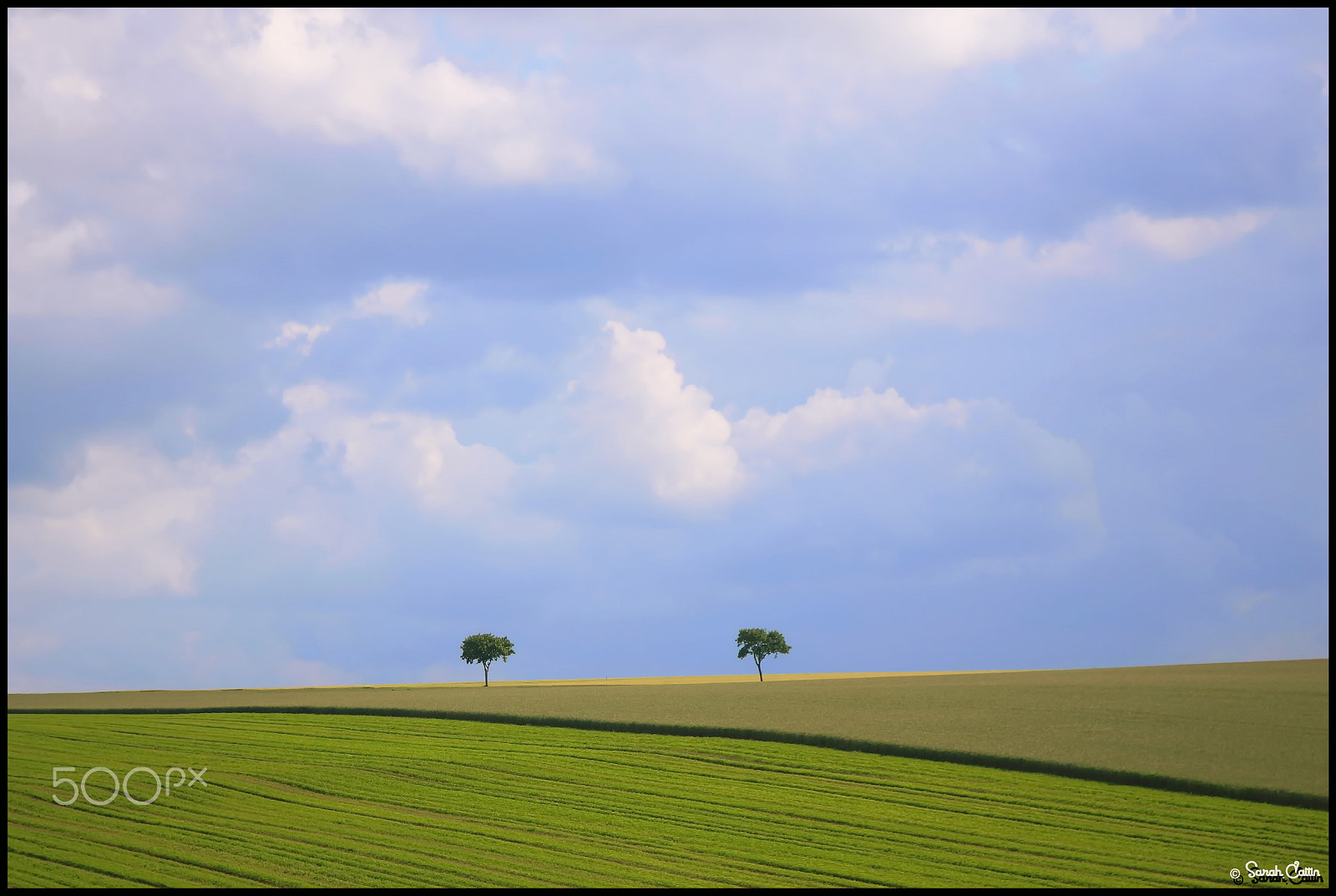 Canon EOS 700D (EOS Rebel T5i / EOS Kiss X7i) + Canon EF 100-300mm f/5.6 sample photo. Arbres jumeaux photography
