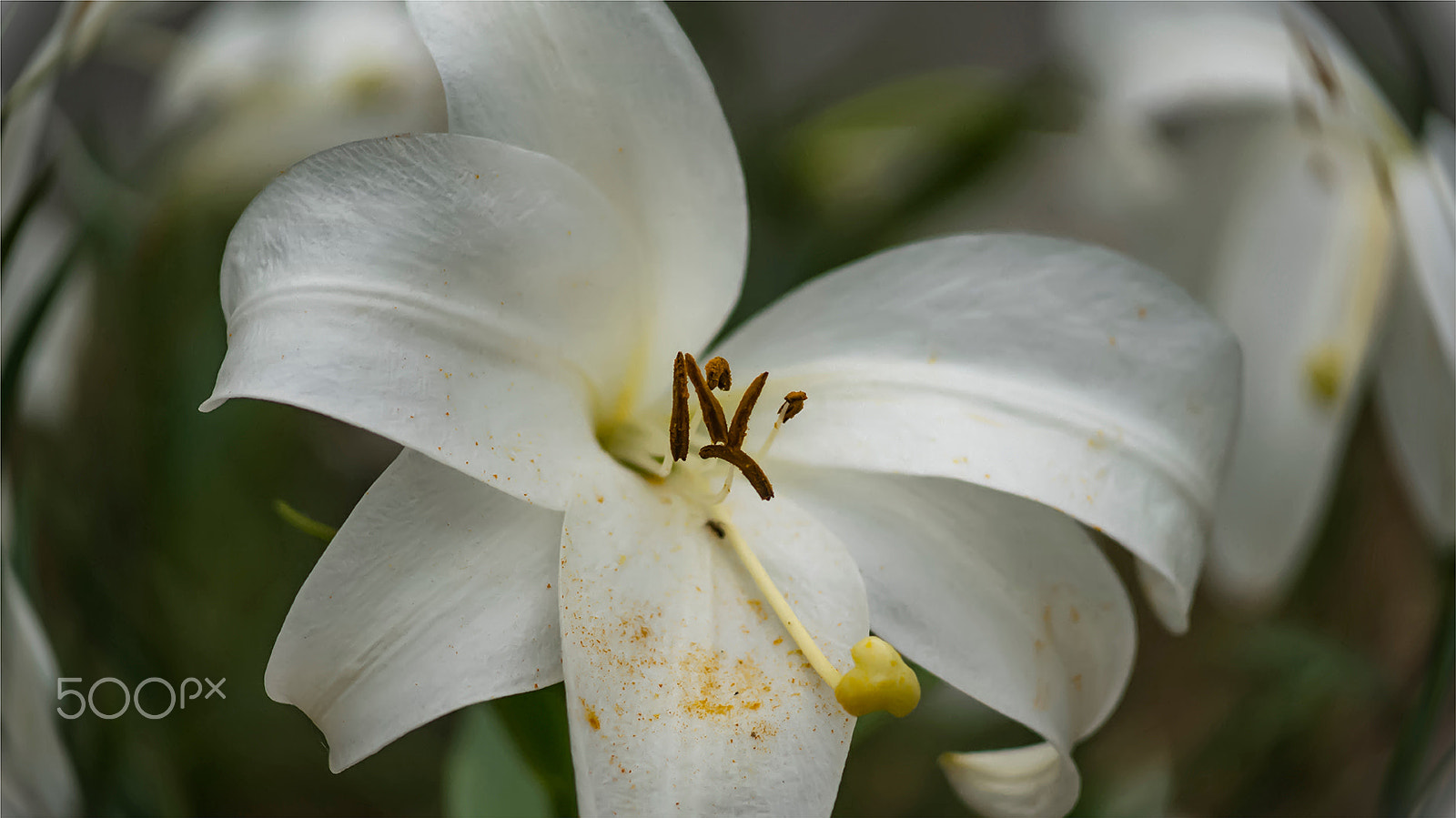 DT 40mm F2.8 SAM sample photo. 夏都小景 photography