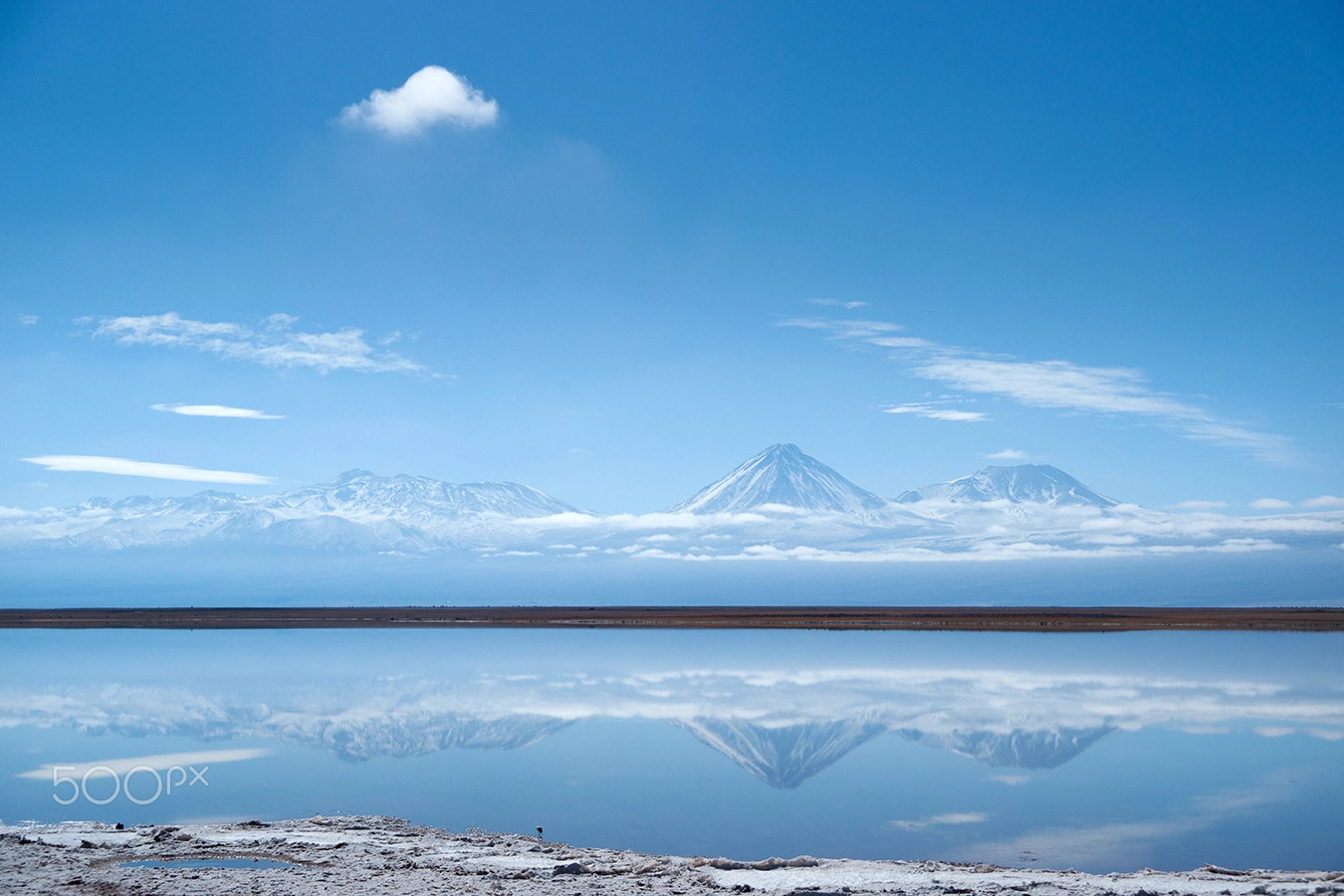 Sony Alpha DSLR-A900 + 35-70mm F4 sample photo. Salt, single flamingo, volcanos, cloud photography