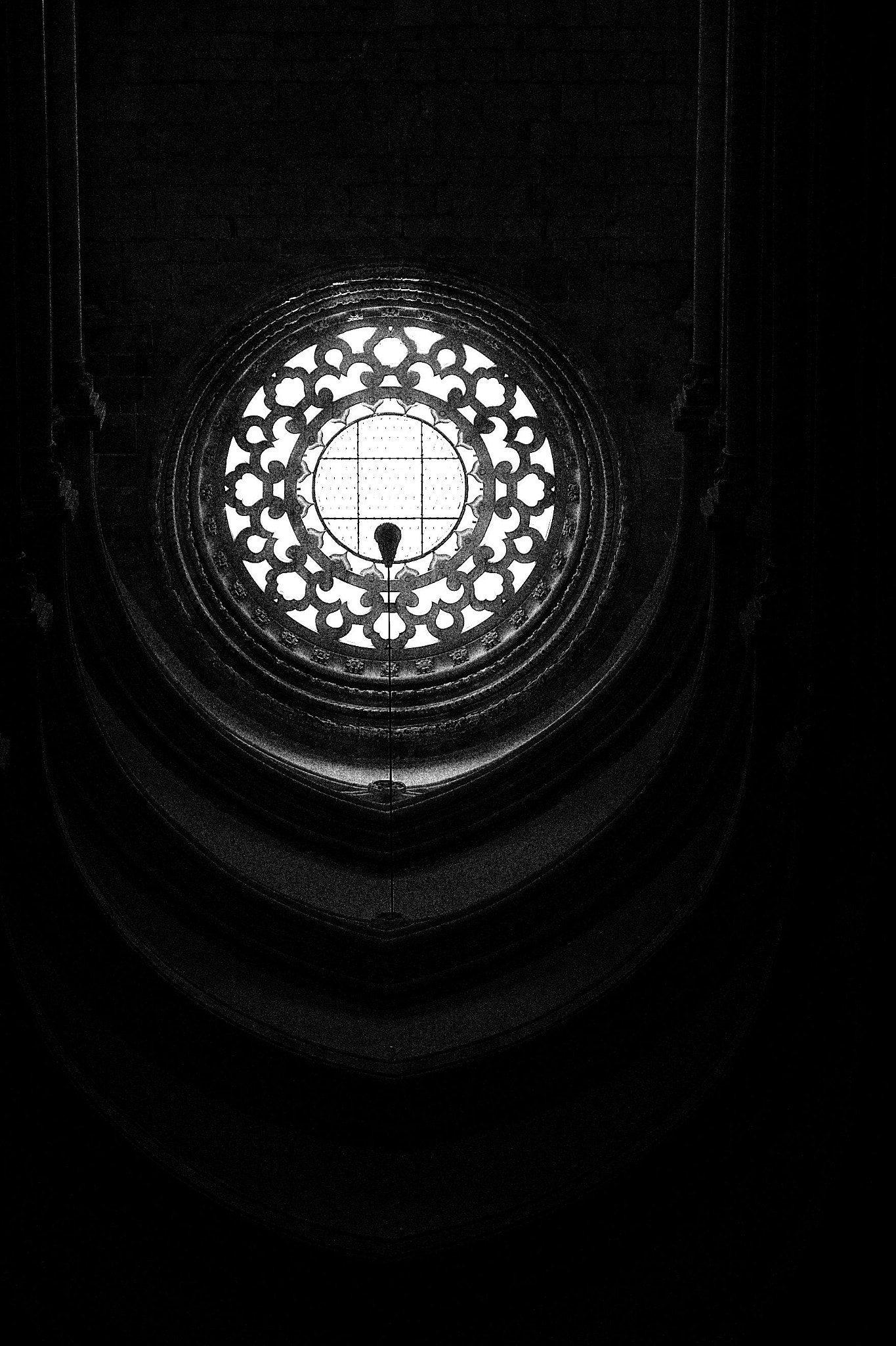Sigma SD14 sample photo. Into the light photography