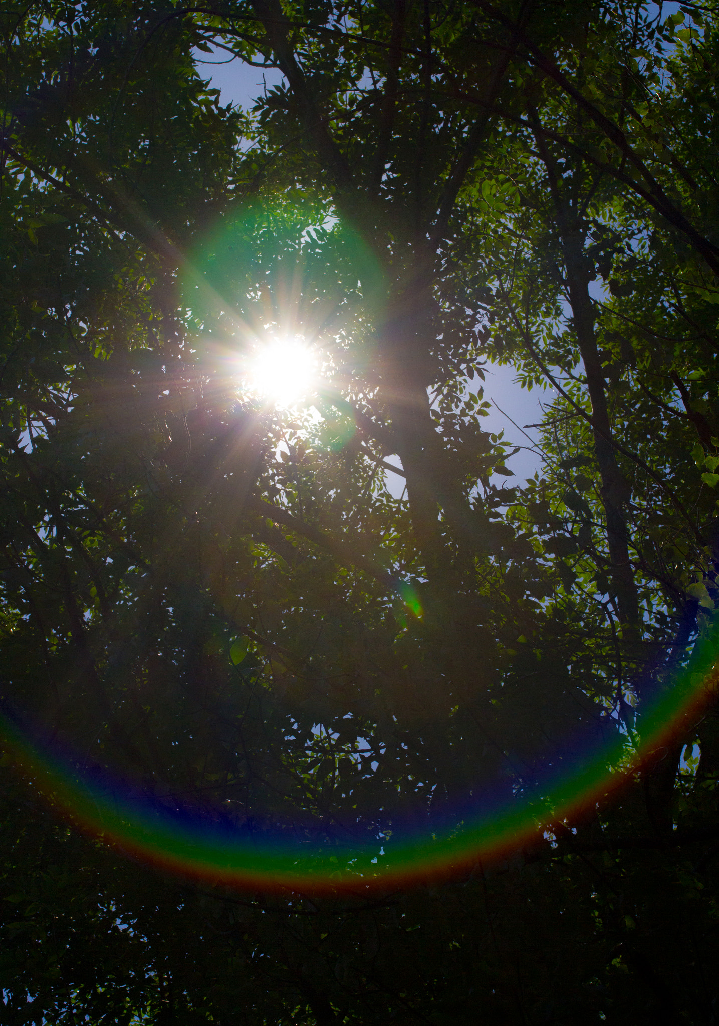 Canon EF-S 60mm F2.8 Macro USM sample photo. Flare with a rainbow photography