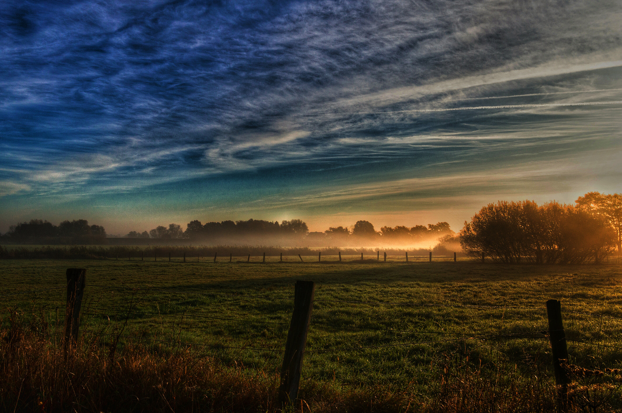 Sony Alpha NEX-3N + Sigma 19mm F2.8 EX DN sample photo. Morning sun photography