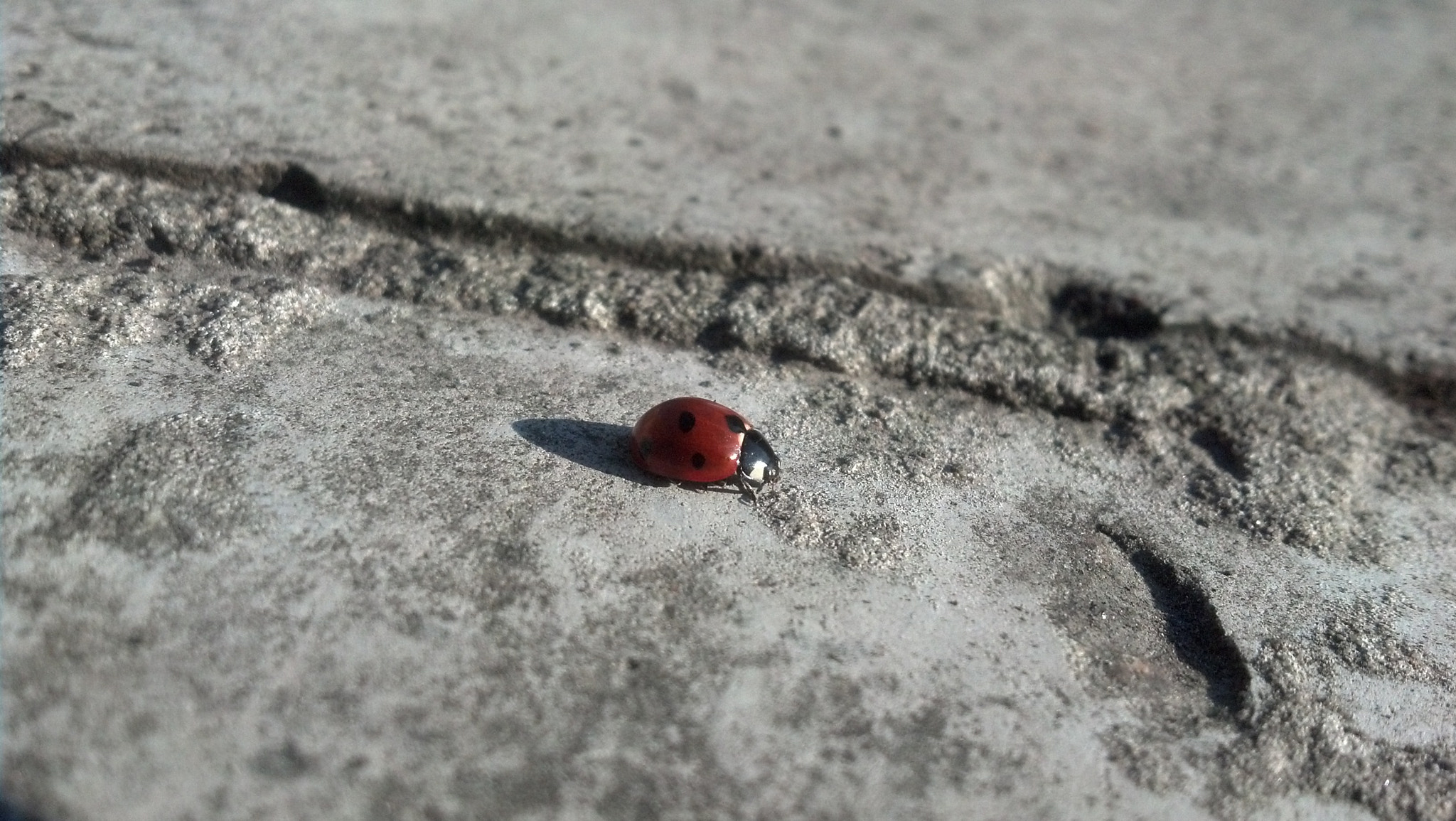 Motorola DROID RAZR sample photo