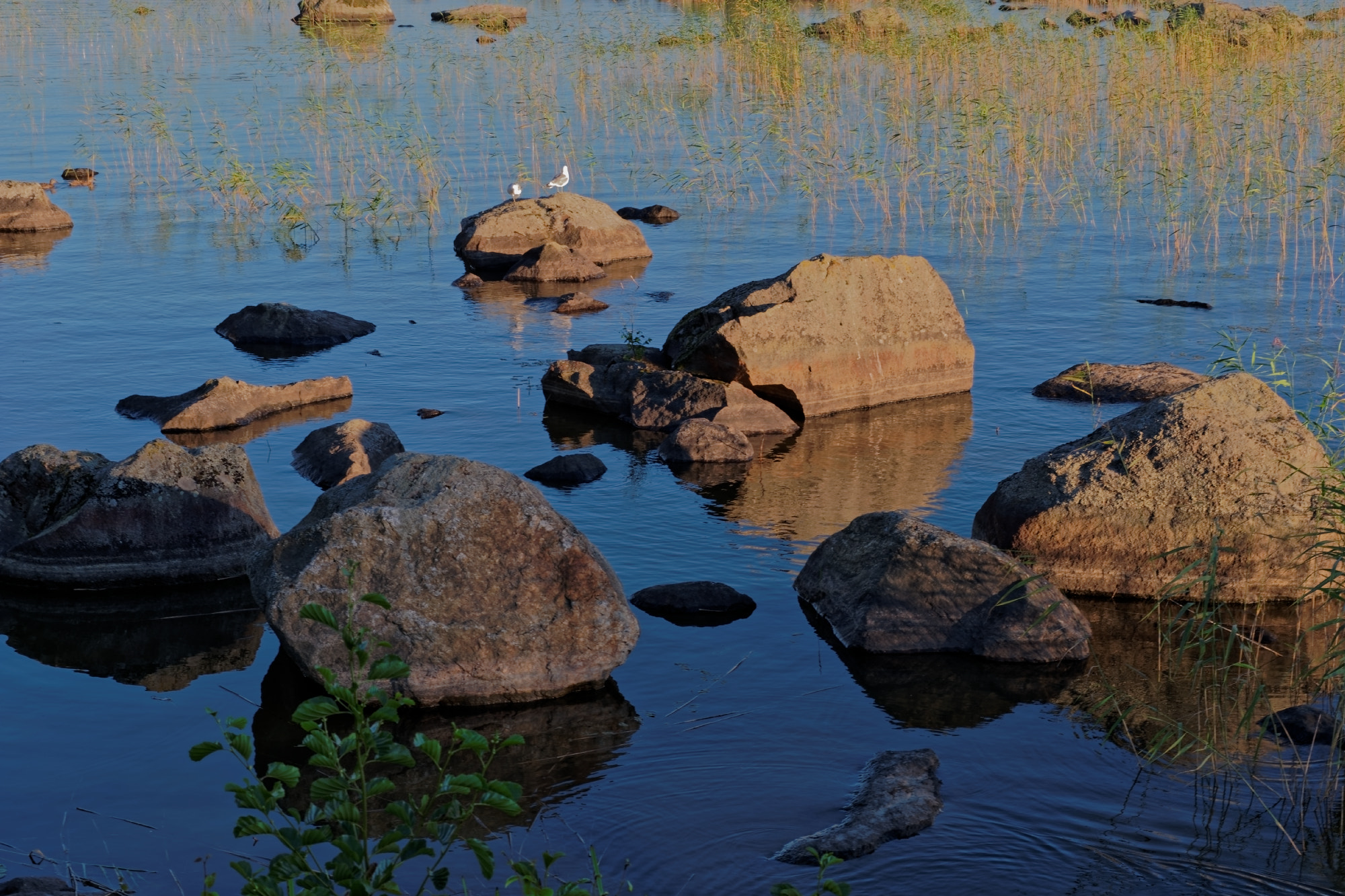 Samsung NX500 + NX 45mm F1.8 [T6] 2D/3D sample photo. Lake photography