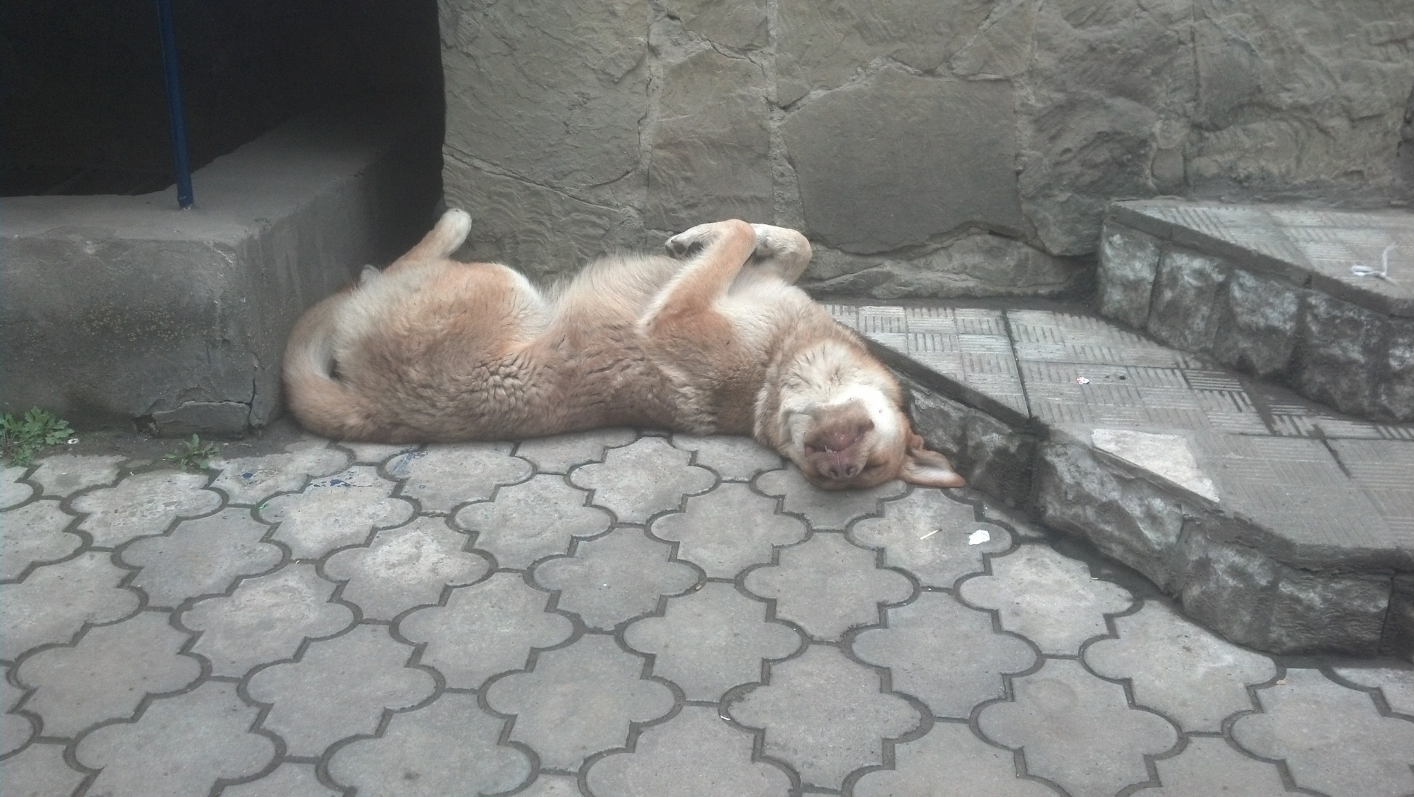 Motorola DROID RAZR sample photo