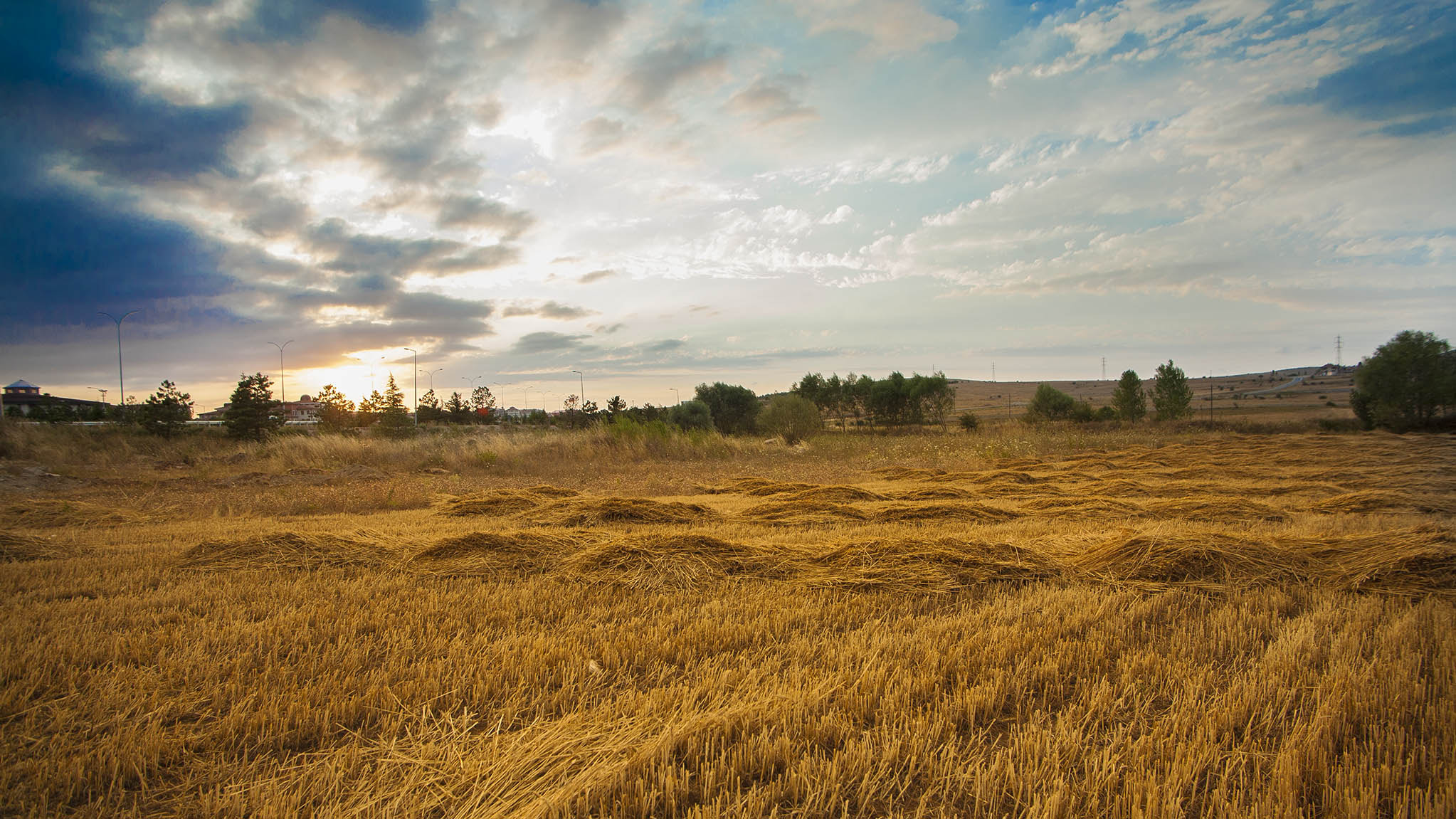 Tamron AF 19-35mm f/3.5-4.5 sample photo. Hayloft photography