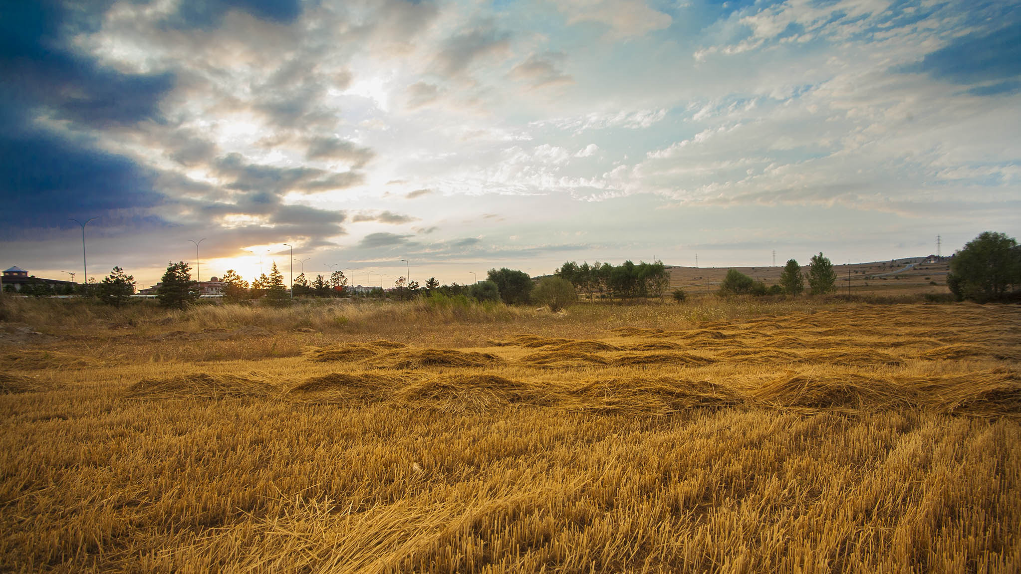 Canon EOS 5D + Tamron AF 19-35mm f/3.5-4.5 sample photo. Hayloft photography