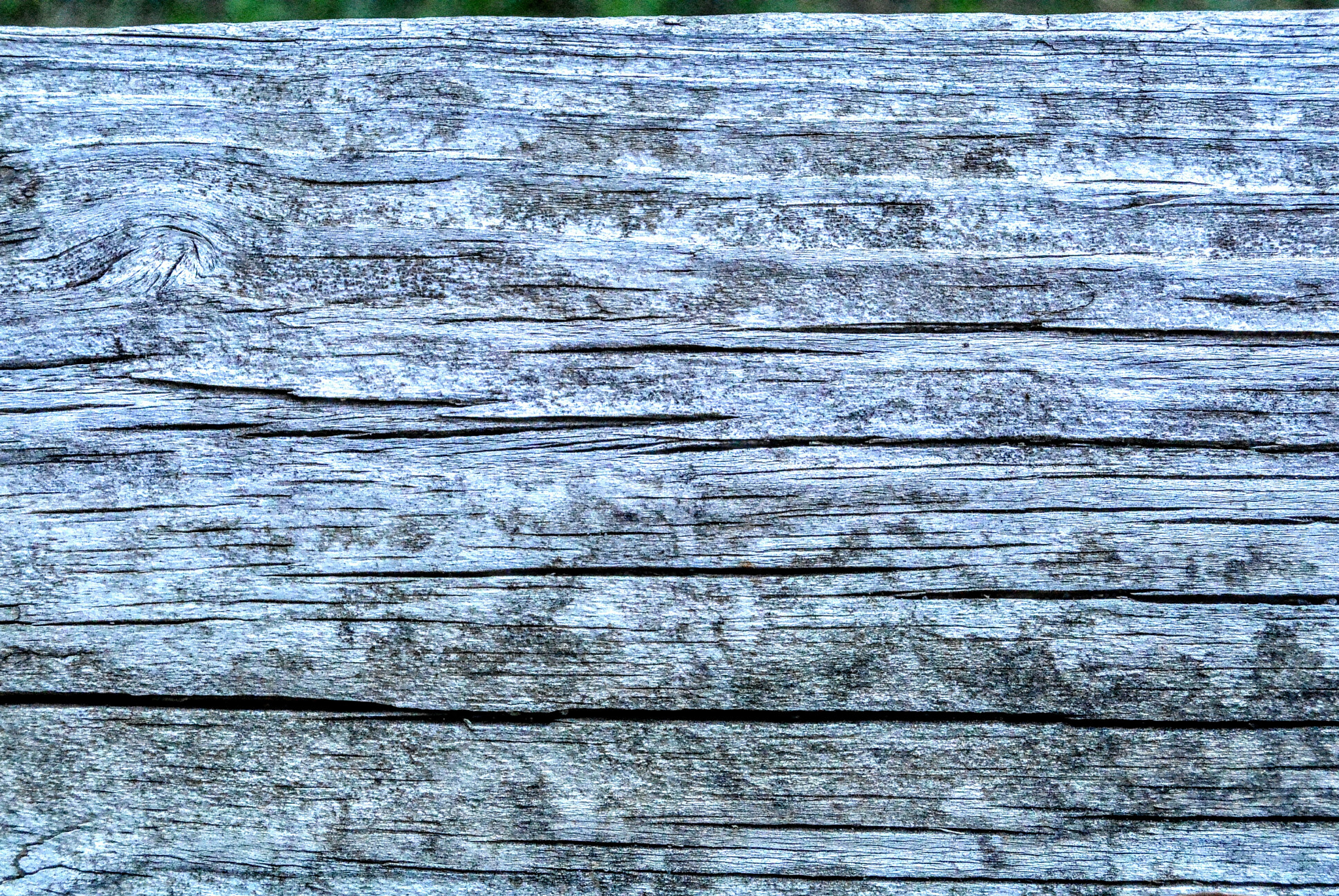 Nikon 1 S1 sample photo. Aged photography