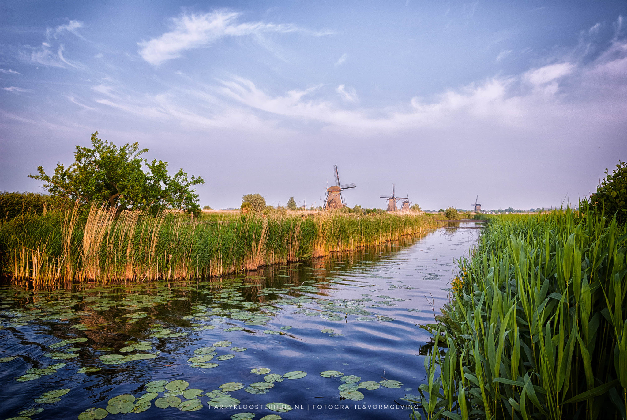 Nikon D80 sample photo. Kinderdijk 2016 photography