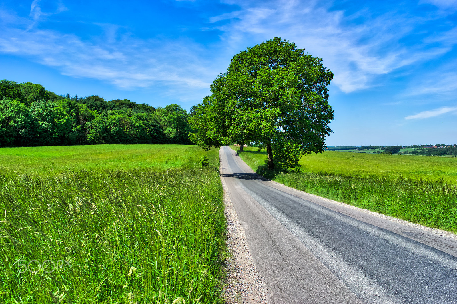 Sony a7 II + Sony FE 28mm F2 sample photo. The windows road photography