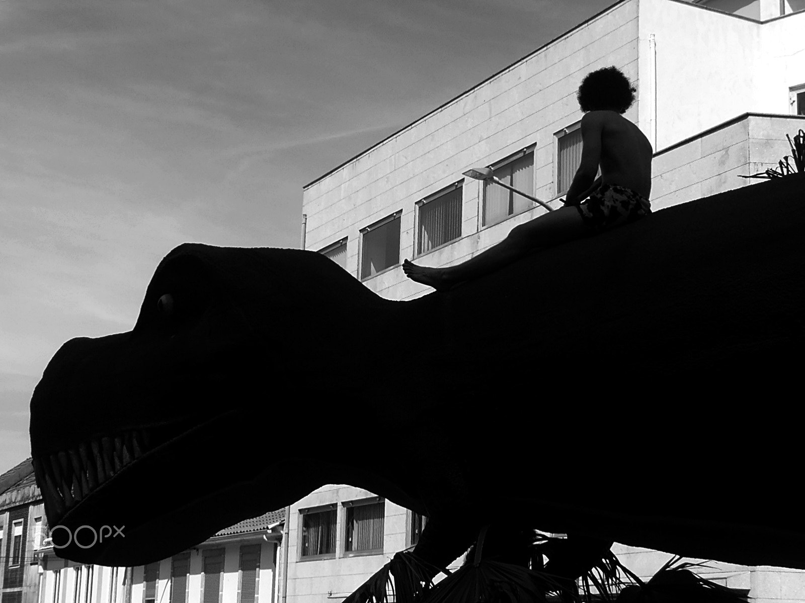 Olympus VR325,VR320,D725 sample photo. Dreaming about dinosaurs photography