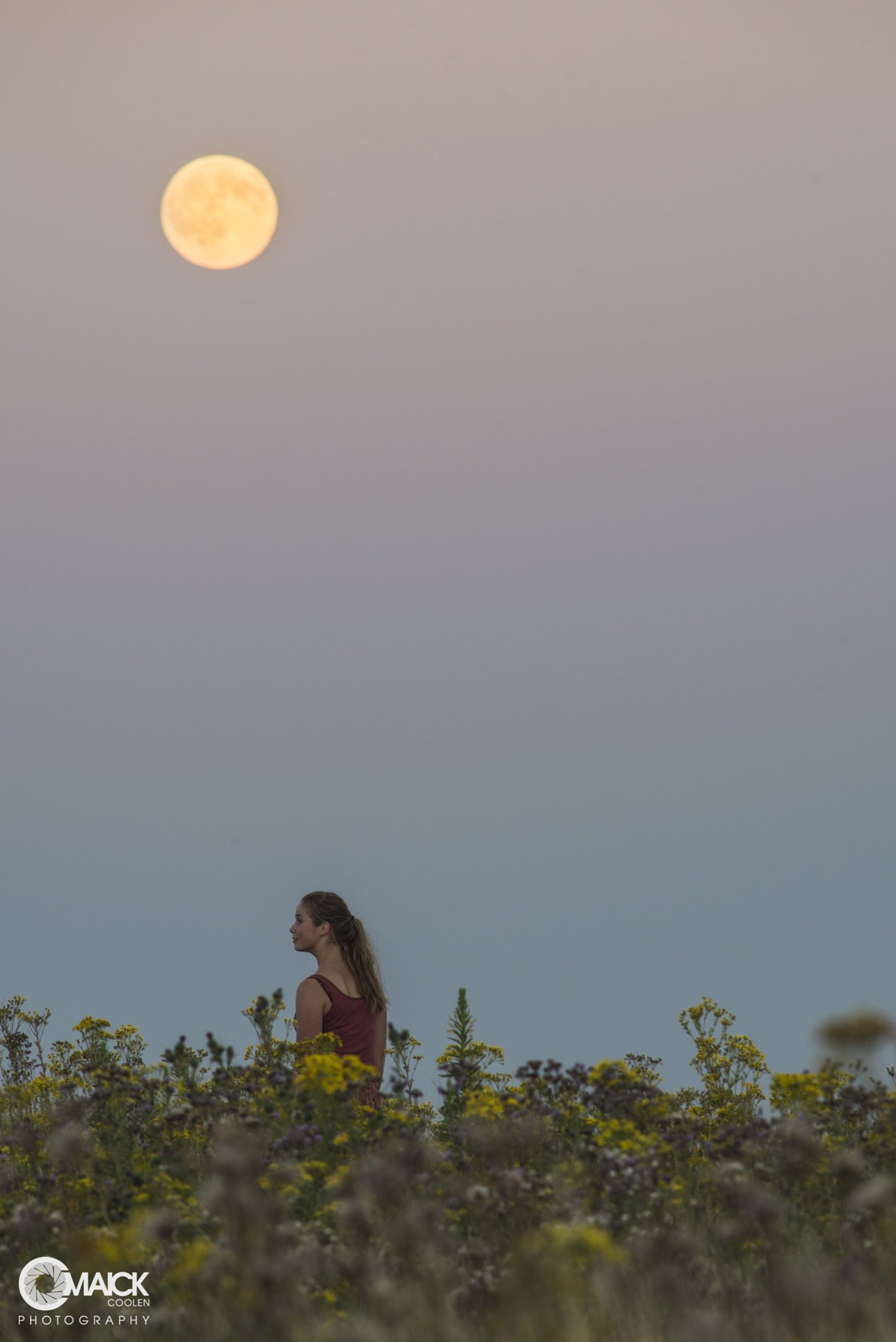 Nikon D610 + AF Nikkor 300mm f/4 IF-ED sample photo. Full moon gulbergen photography