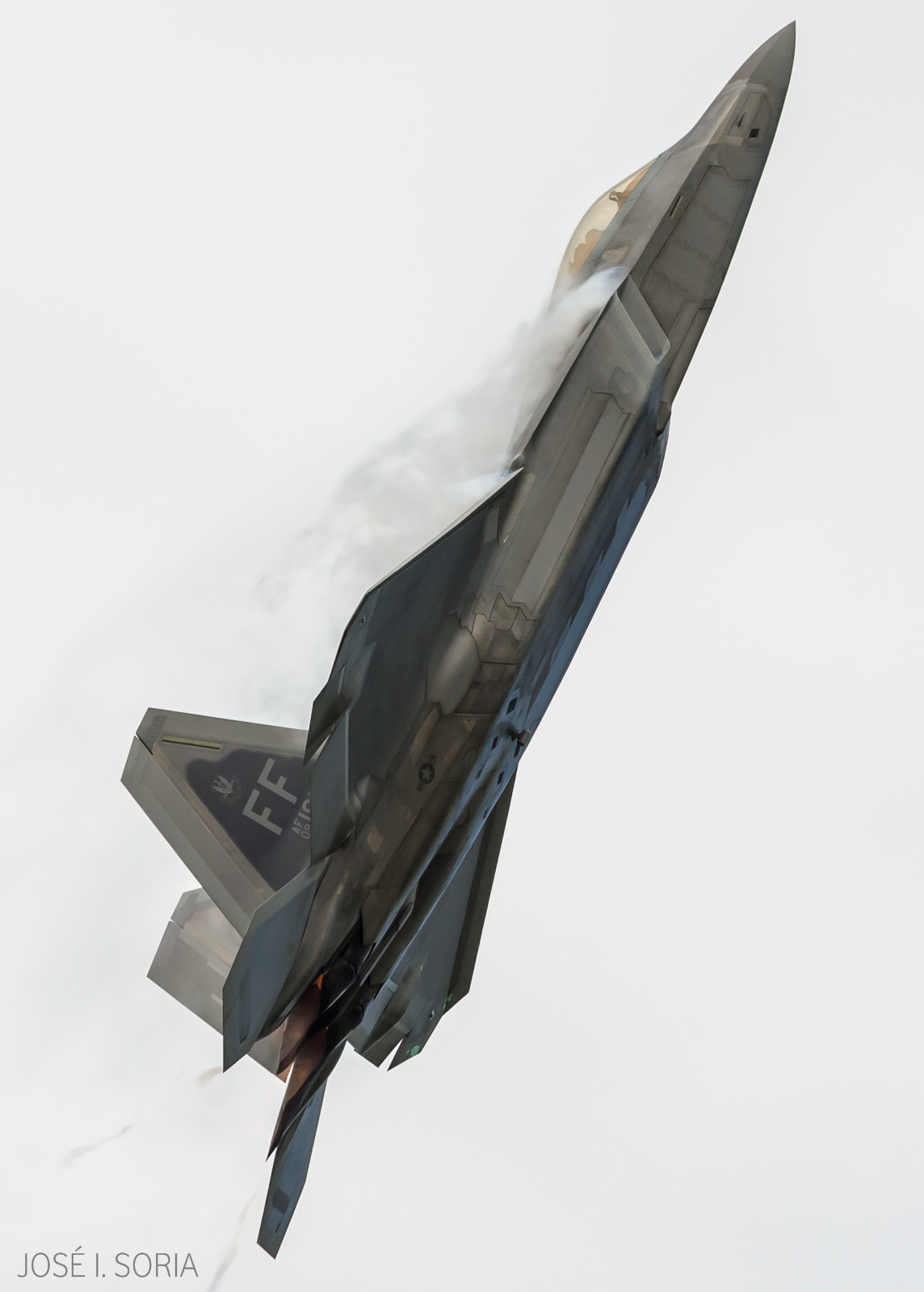 Sigma 120-400mm F4.5-5.6 DG OS HSM sample photo. Raptor. photography