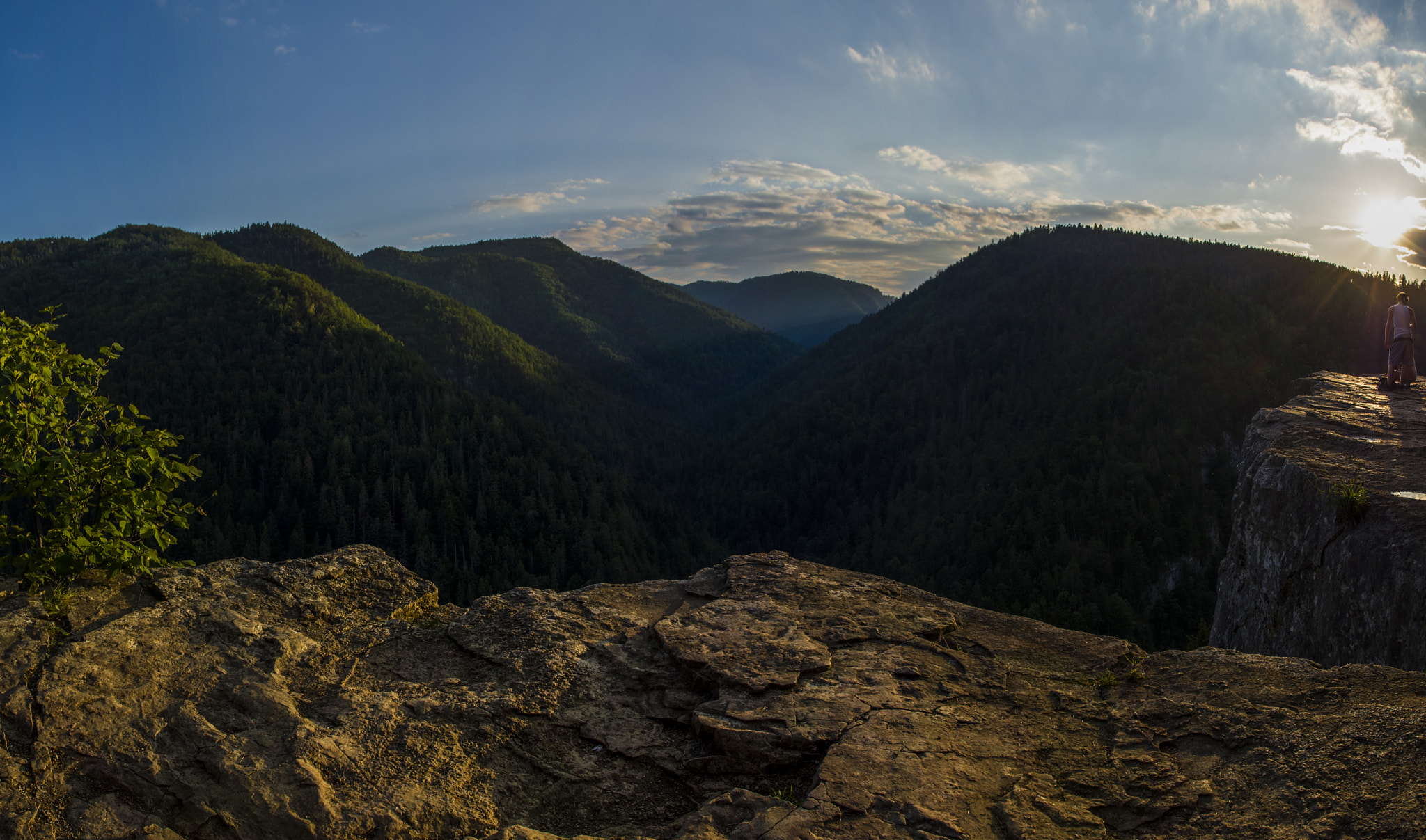 Pentax K-50 + HD Pentax DA 15mm F4 ED AL Limited sample photo. Paradise photography