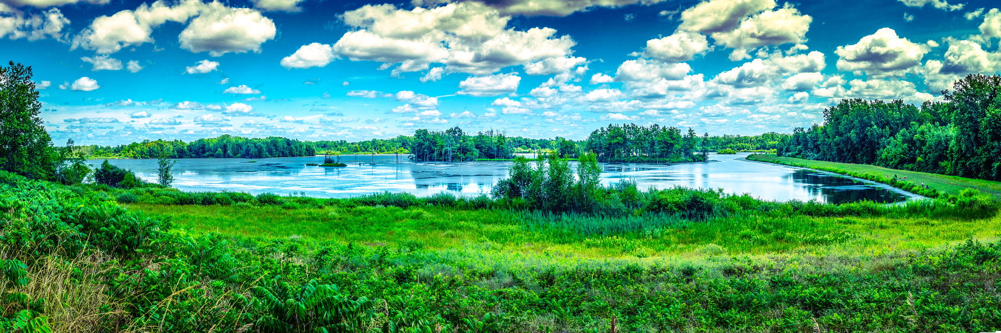 Nikon D750 + Samyang 35mm F1.4 AS UMC sample photo. Iroquois national wildlife refuge #5 photography