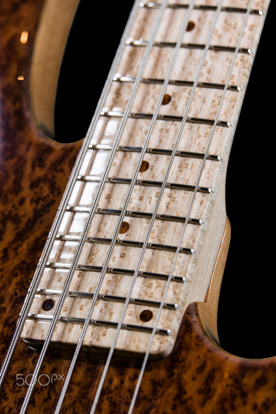 Nikon D7200 + Sigma 50-100mm F1.8 DC HSM Art sample photo. Redwood and maple photography