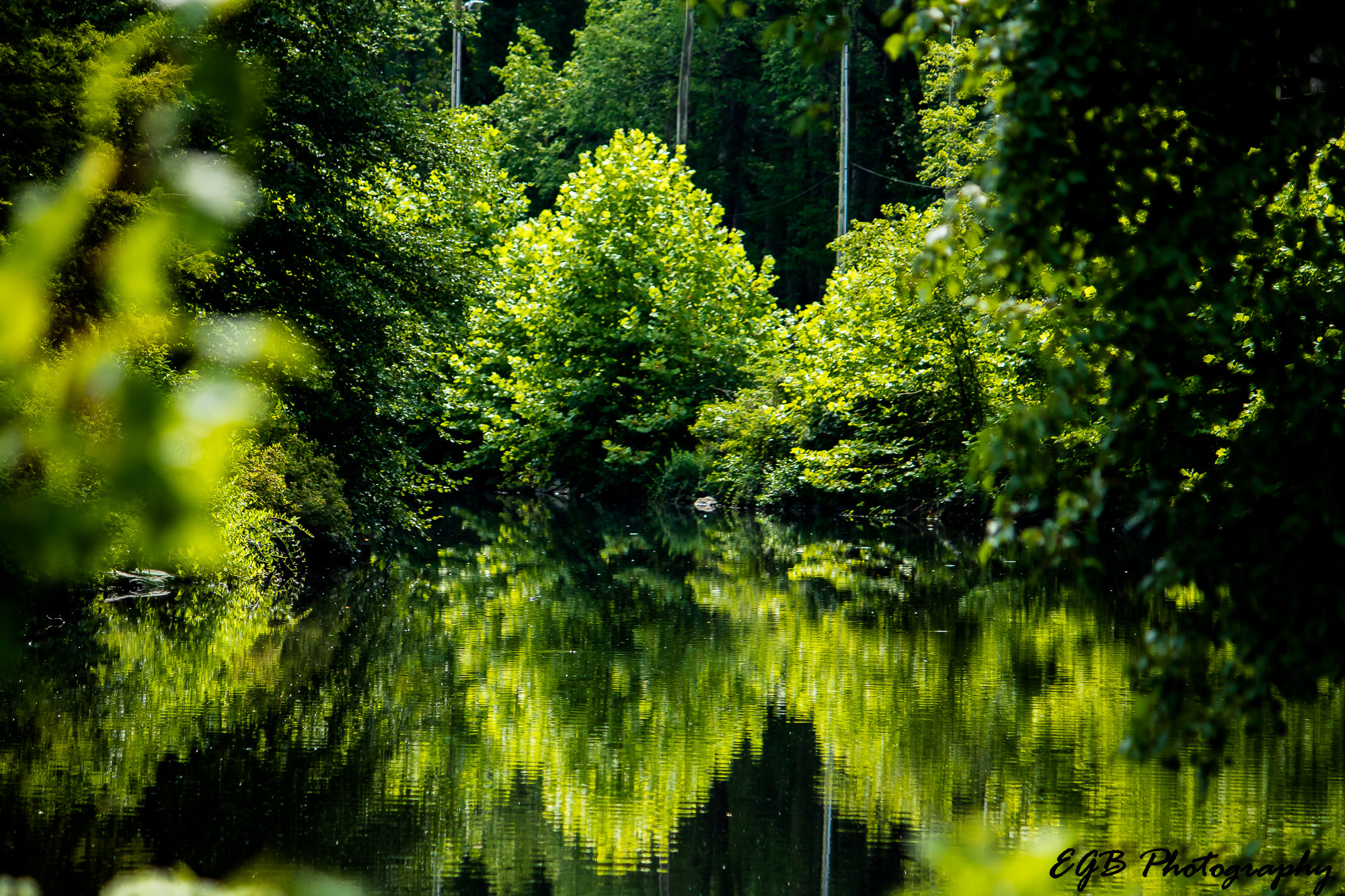 Canon EF-S 55-250mm F4-5.6 IS sample photo. Reflections of life photography