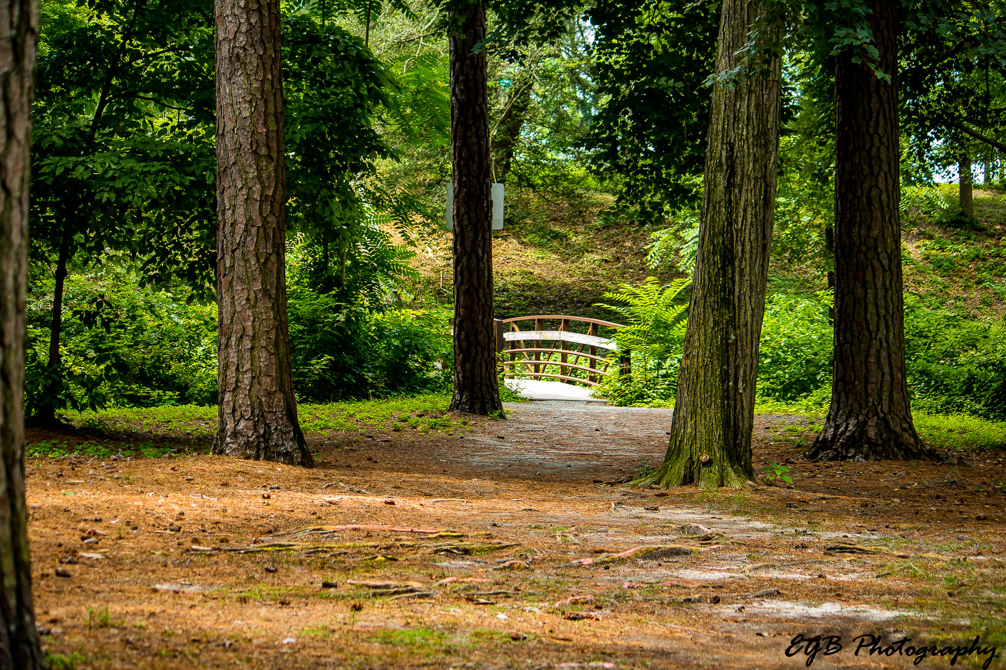 Canon EF-S 55-250mm F4-5.6 IS sample photo. Another bridge to cross photography
