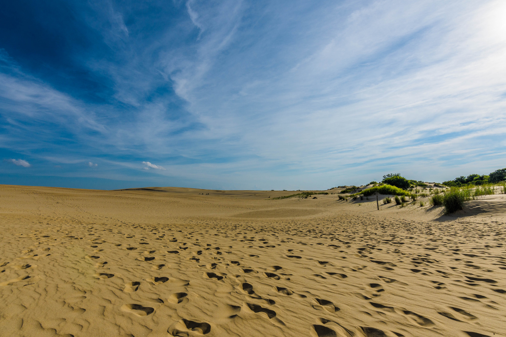 Nikon D500 sample photo. Jockey's ridge state park photography