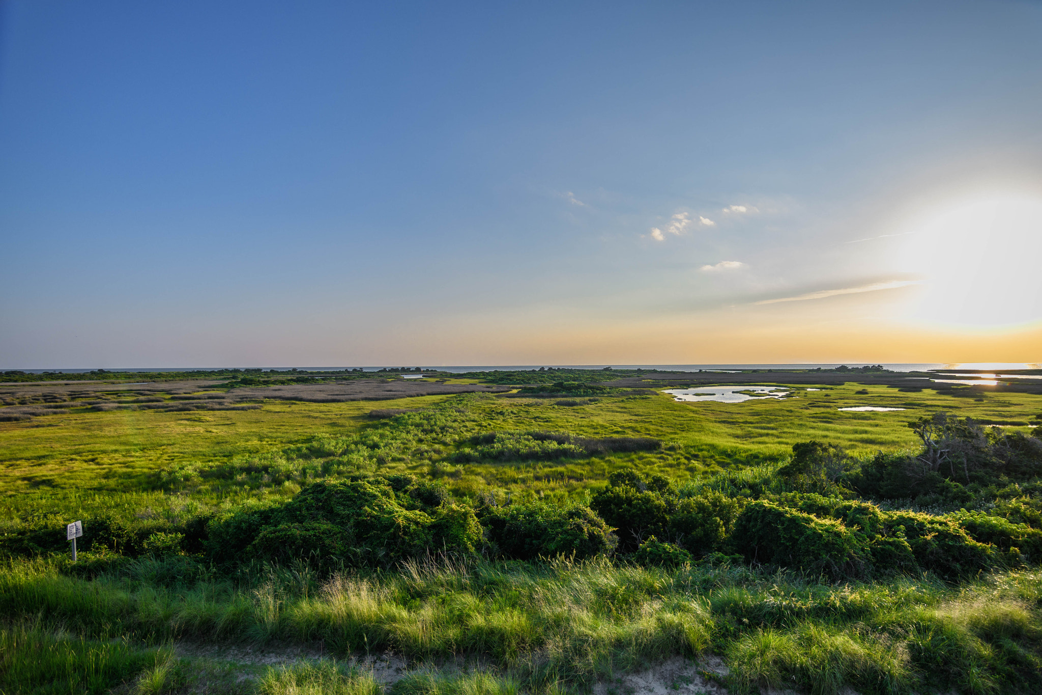 Nikon D500 sample photo. Pea island photography