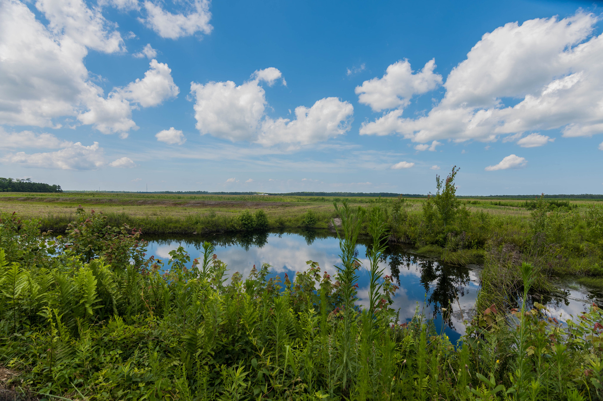 Nikon D500 sample photo. Water and clouds photography