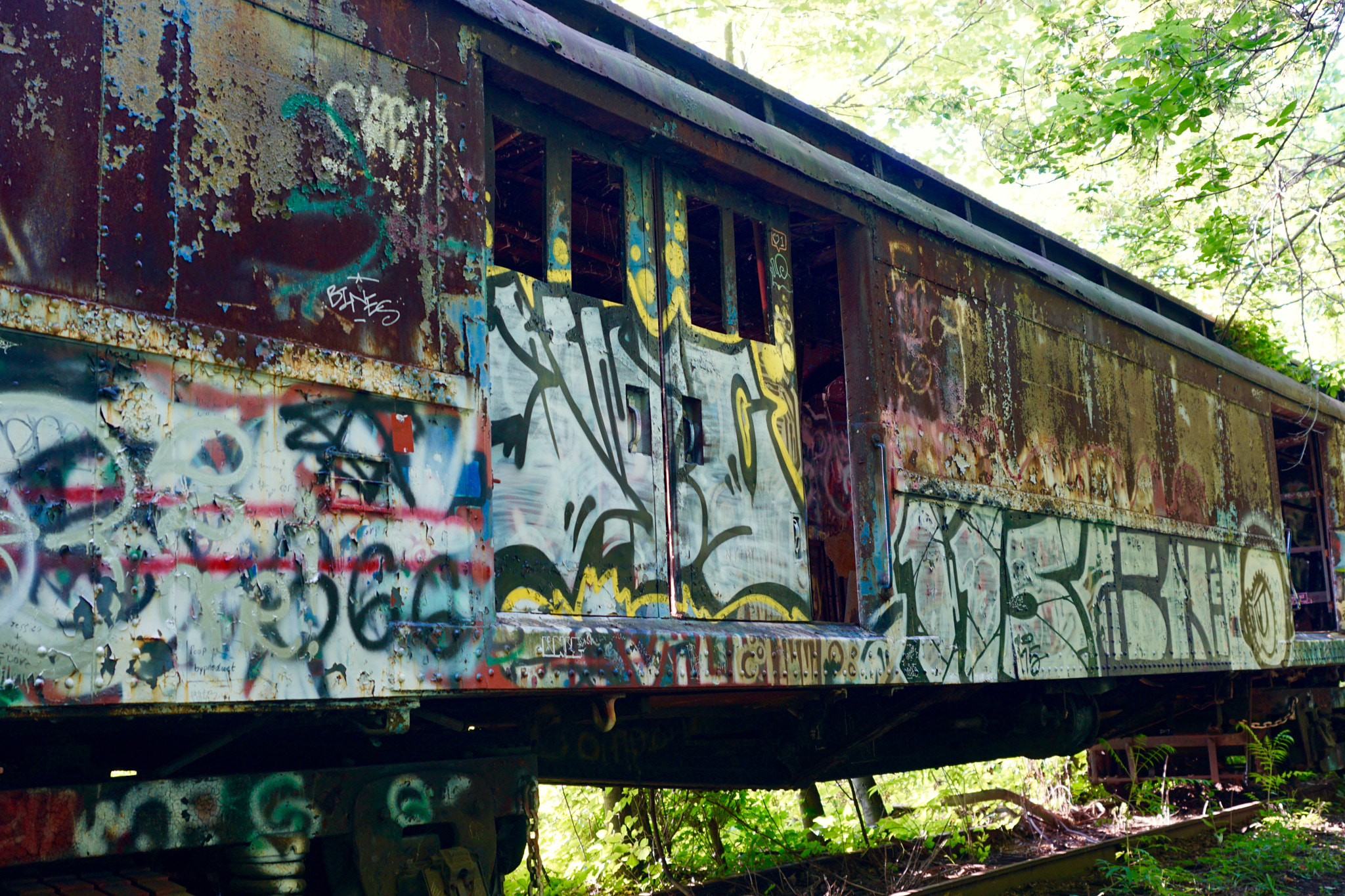 Sony ILCA-77M2 + Sony Vario-Sonnar T* 24-70mm F2.8 ZA SSM sample photo. Urban art in the woods ll photography