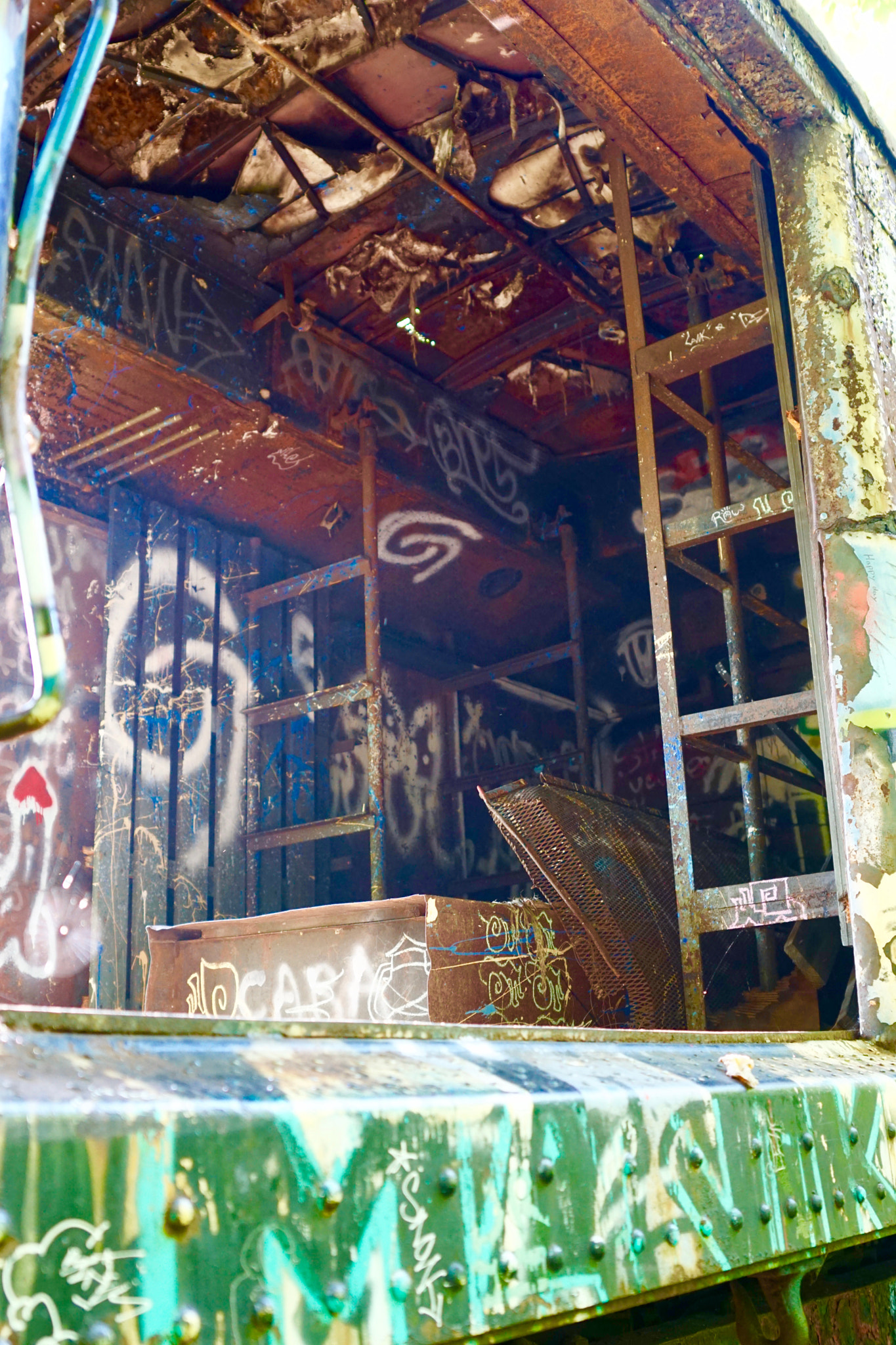 Sony ILCA-77M2 sample photo. Urban art in the woods ll photography