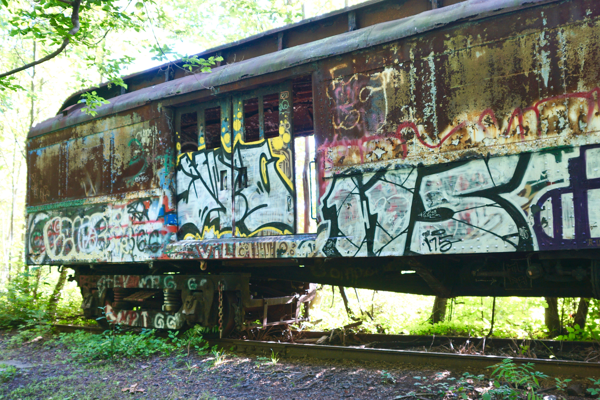 Sony ILCA-77M2 sample photo. Urban art in the woods ll photography