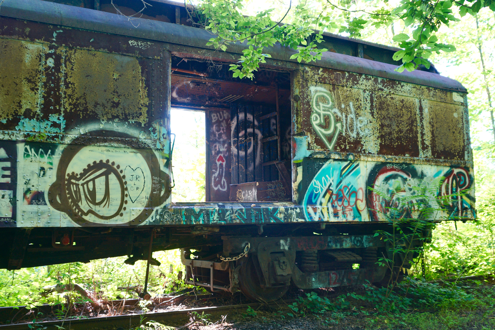 Sony ILCA-77M2 + Sony Vario-Sonnar T* 24-70mm F2.8 ZA SSM sample photo. Urban art in the woods ll photography