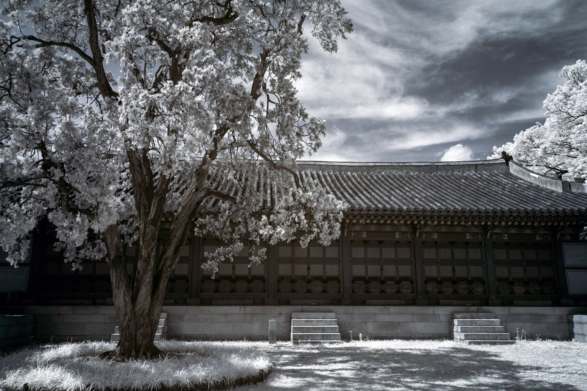 Canon EOS 5D + Canon EF 16-35mm F4L IS USM sample photo. Changdeokgung photography