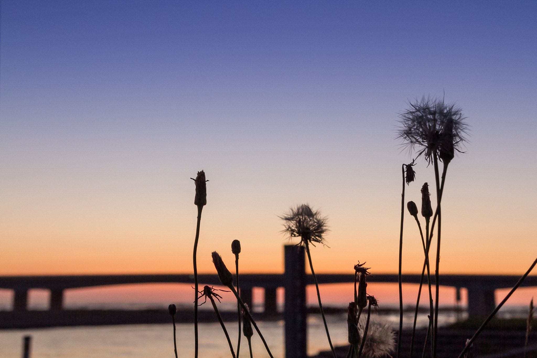 Canon EOS 7D + Canon EF 20-35mm f/2.8L sample photo. Sunset photography