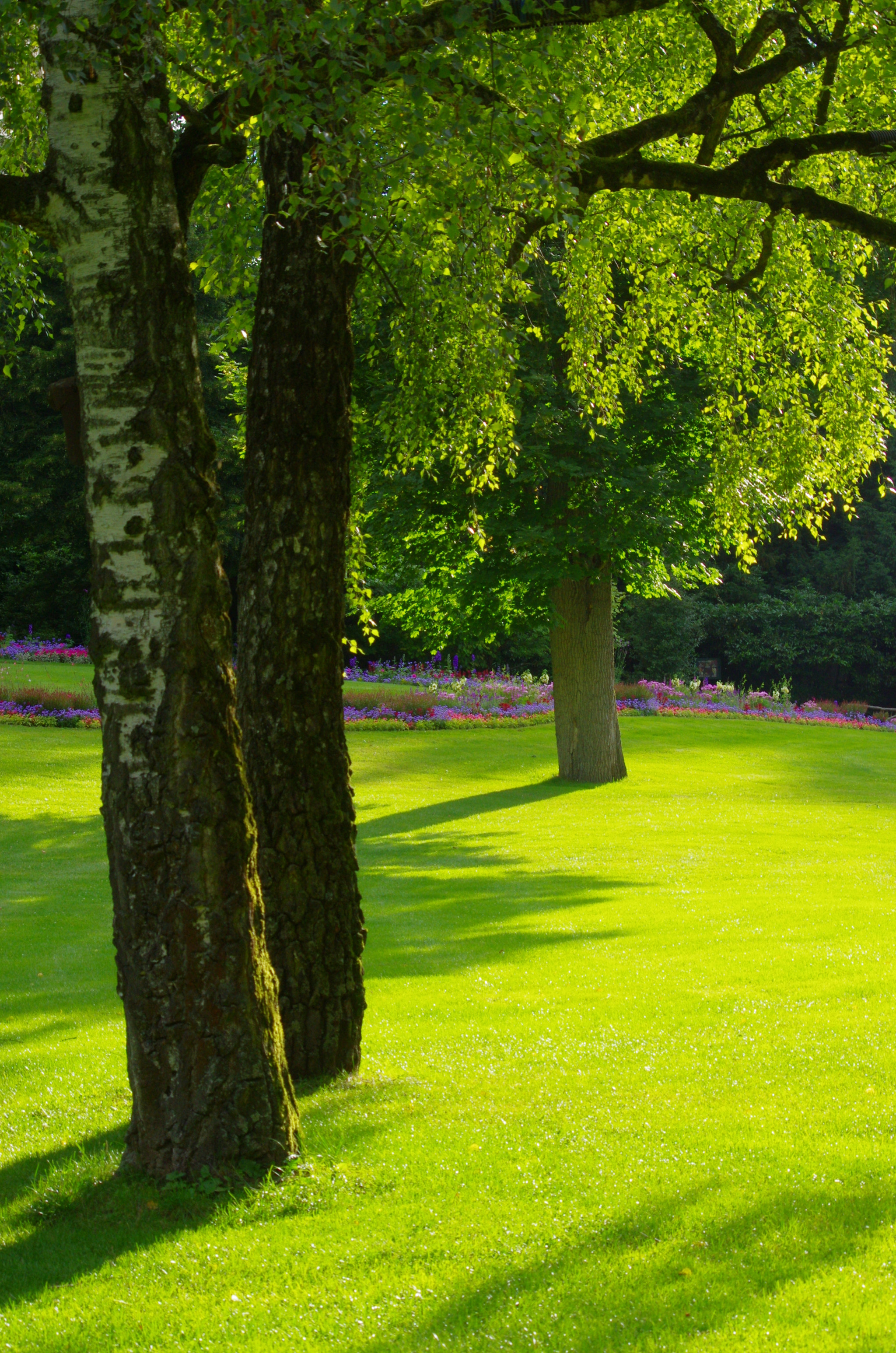 smc PENTAX-DA L 55-300mm F4-5.8 ED sample photo. Facinating green photography