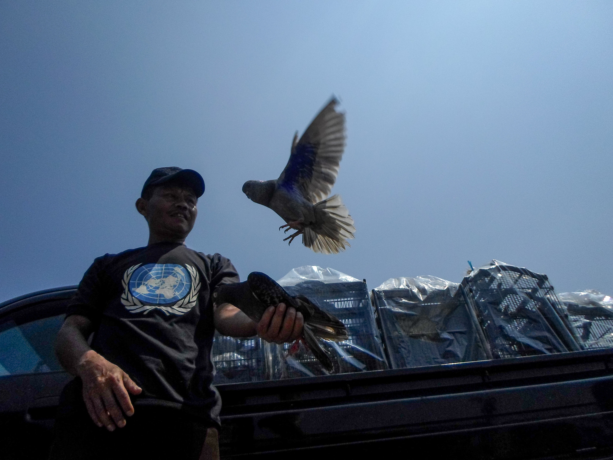 Samsung ES95 sample photo. Bird man photography
