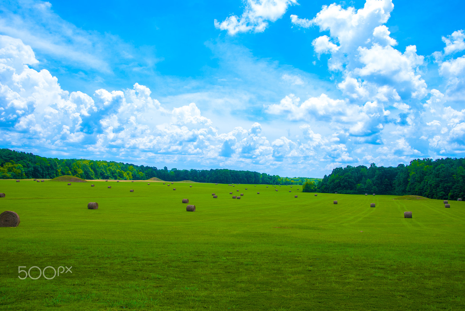Nikon D40X sample photo. Indian burial mounds photography