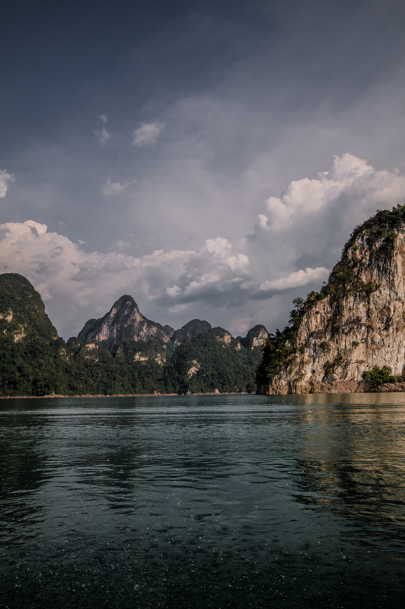 Sigma 10-20mm F4-5.6 EX DC HSM sample photo. Jungle vibes photography