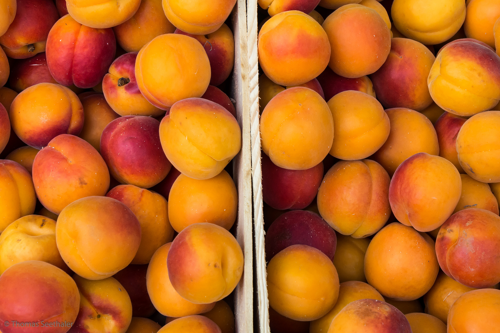 Olympus OM-D E-M10 sample photo. Apricots photography