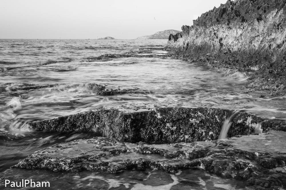 Canon EOS-1D Mark II sample photo. _v3o4288.jpg photography