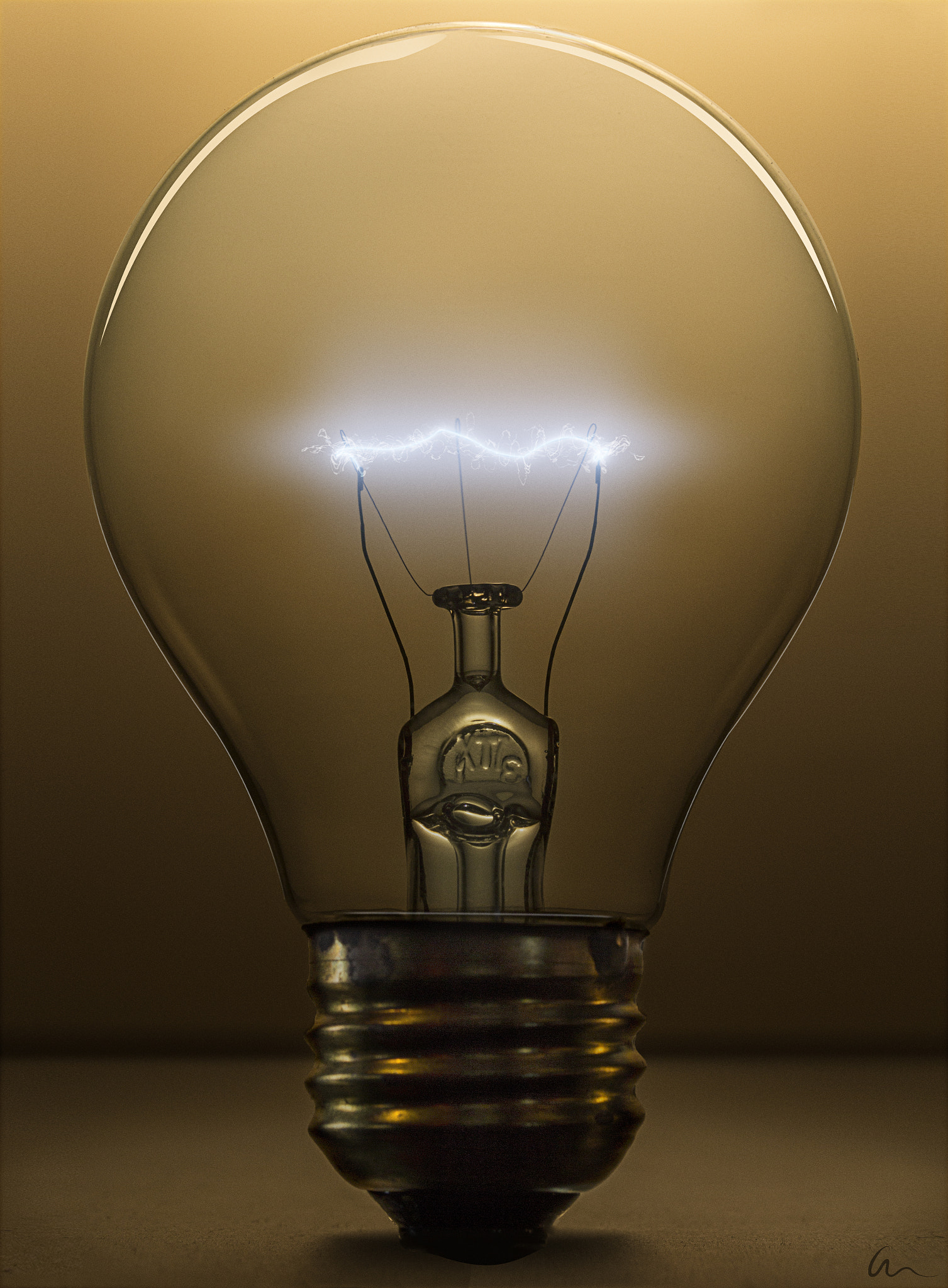 Canon EF-S 60mm F2.8 Macro USM sample photo. Light bulb orange photography