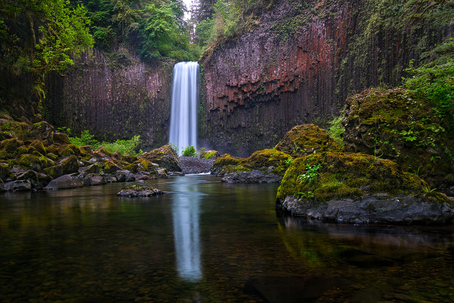 Sony a7R II + Canon EF 17-40mm F4L USM sample photo. Reflections photography