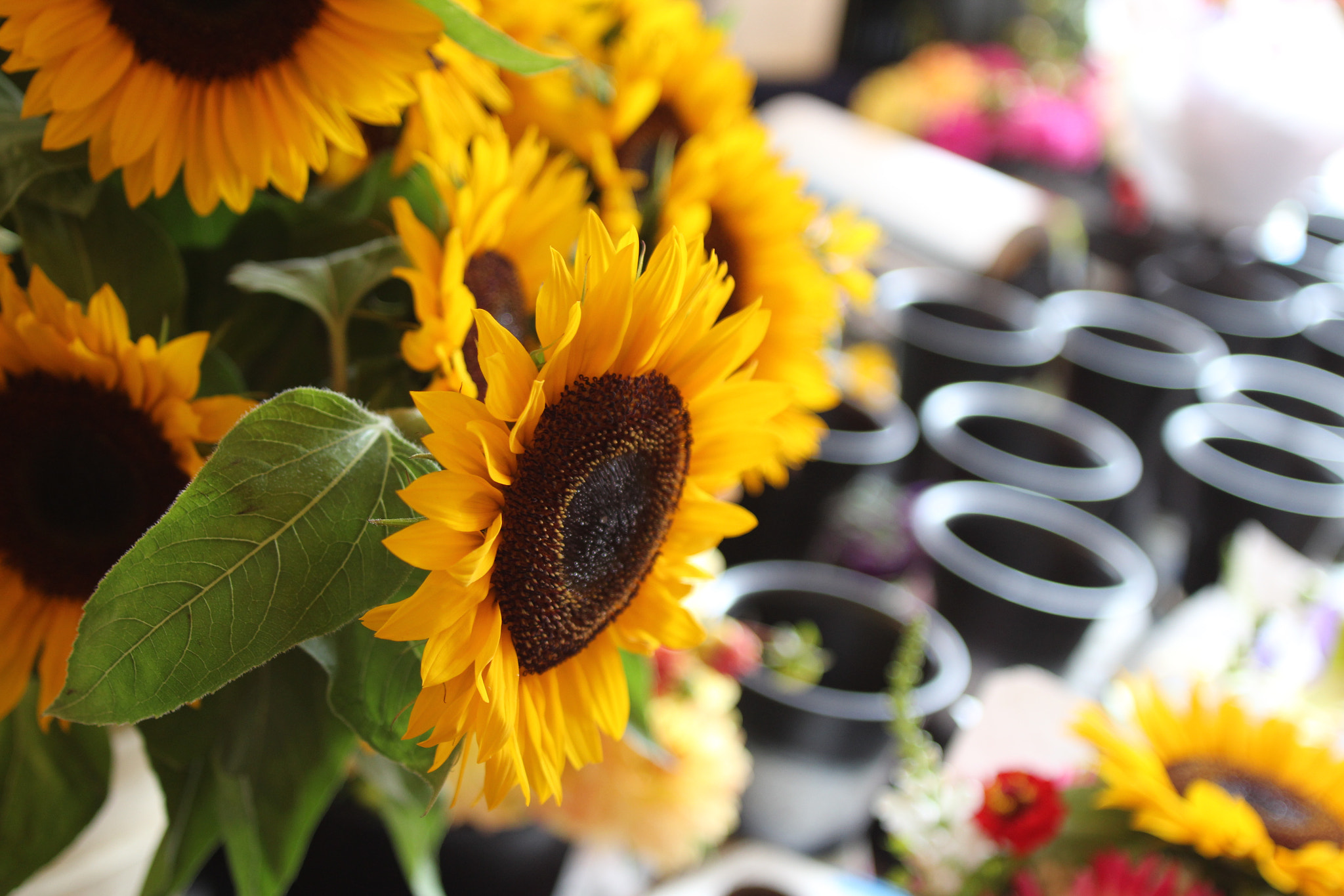Canon EF 20-35mm f/2.8L sample photo. Pike place market seattle photography