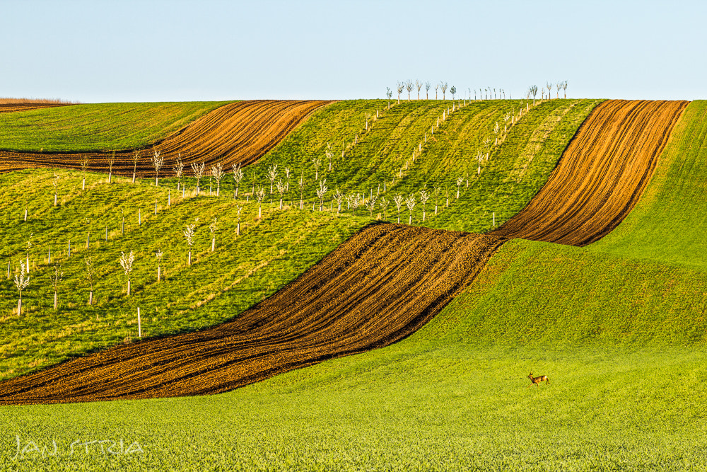 Canon EF 70-300mm F4-5.6L IS USM sample photo. Wonderland photography