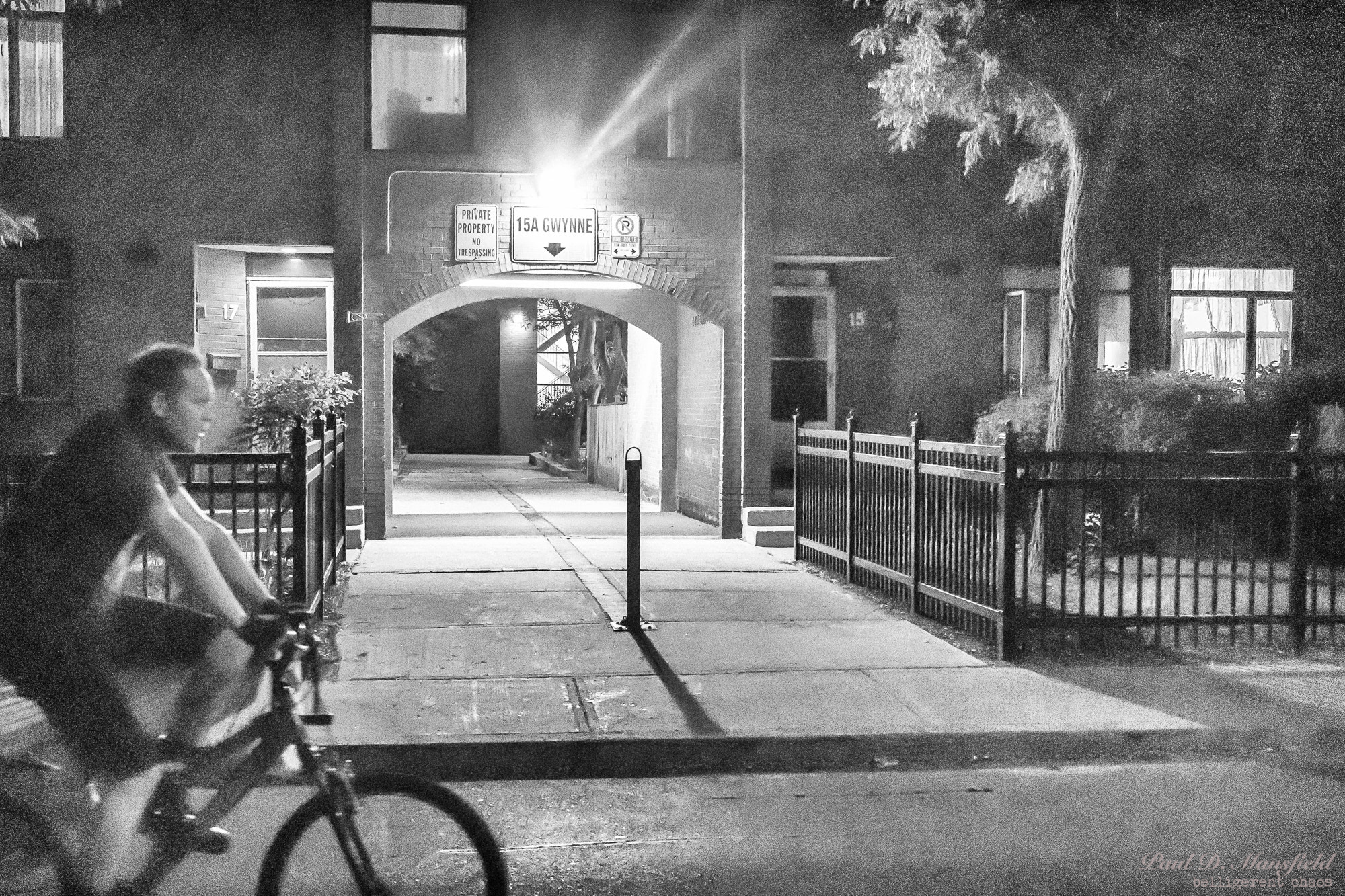 Canon EOS 760D (EOS Rebel T6s / EOS 8000D) sample photo. Toronto dans la nuit... photography