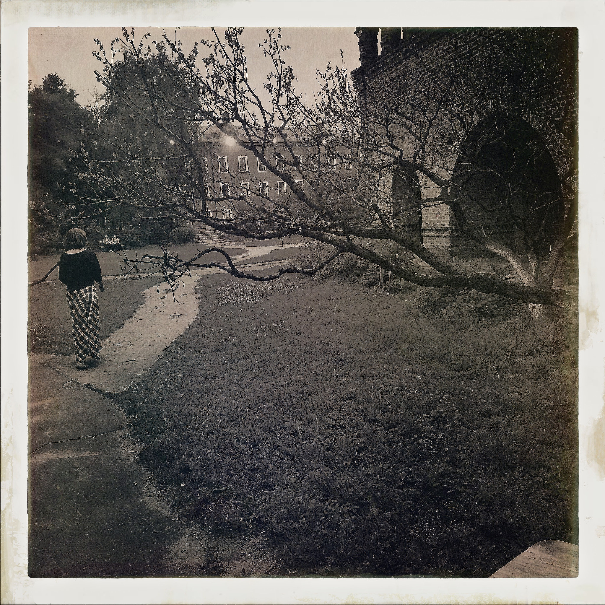 Hipstamatic 313 sample photo