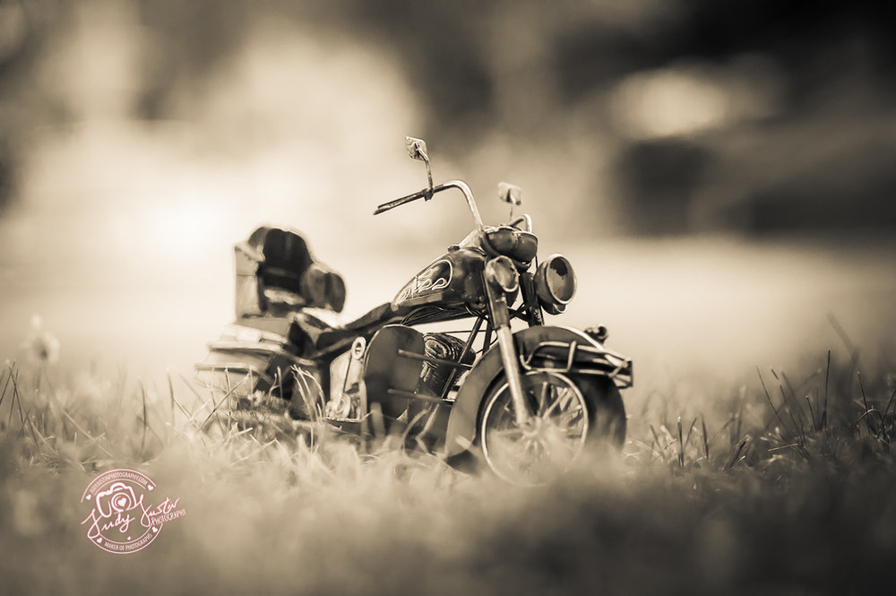 Tokina AT-X Pro 100mm F2.8 Macro sample photo. Sitting pretty photography