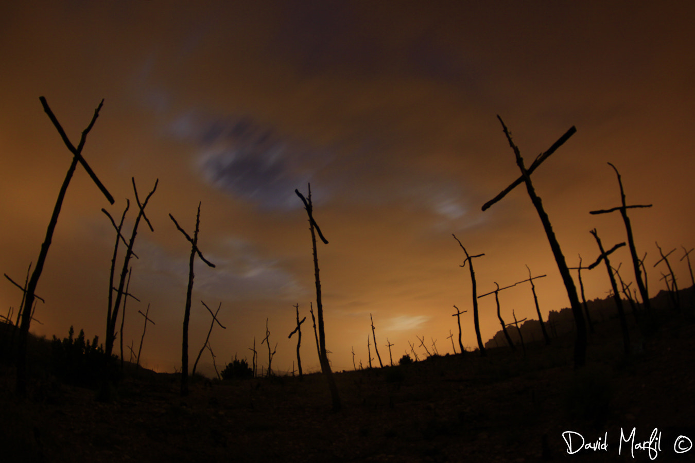 Canon EOS 50D sample photo. Bosc de les creus photography