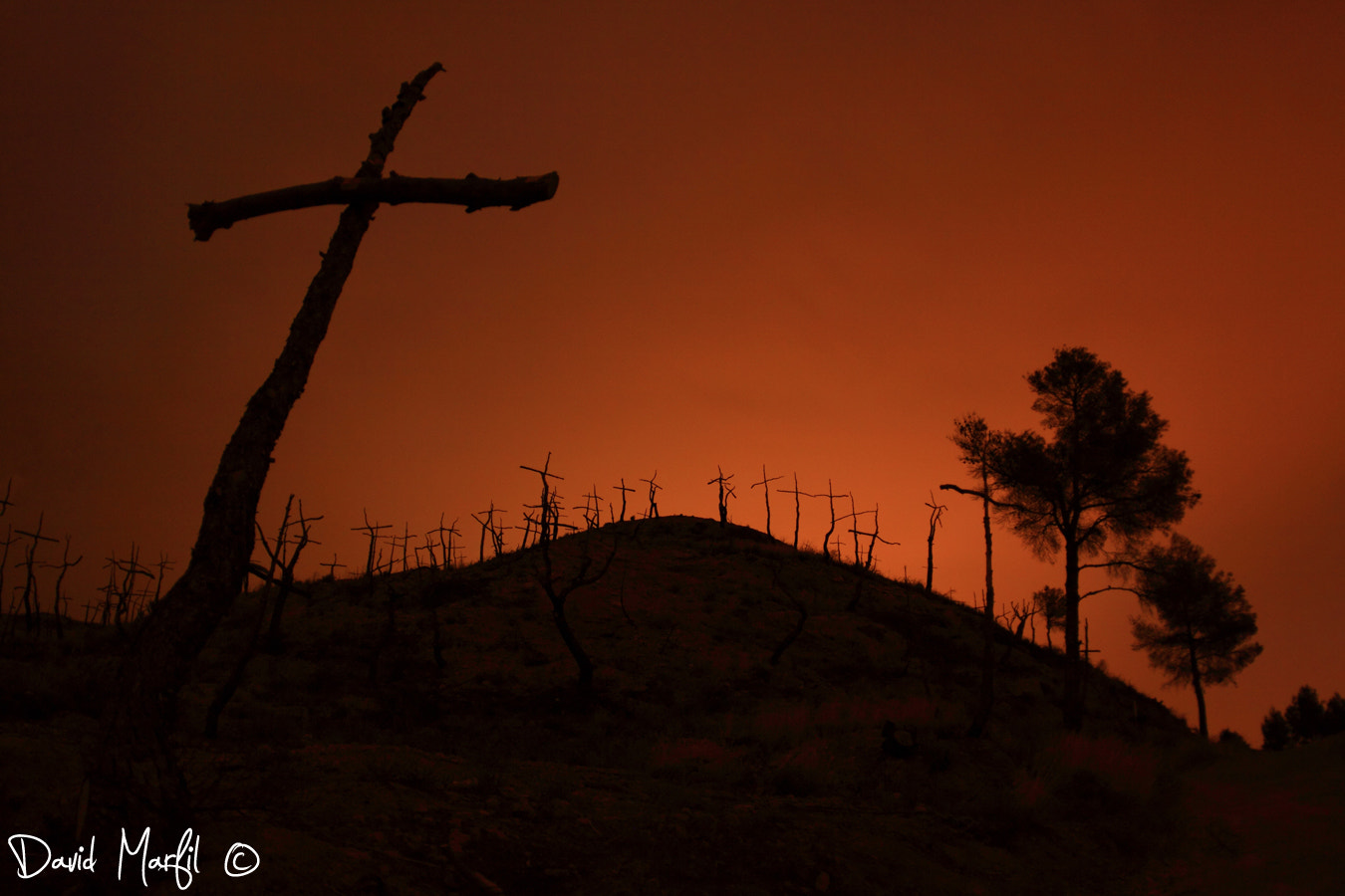 Canon EOS 50D sample photo. Cross photography