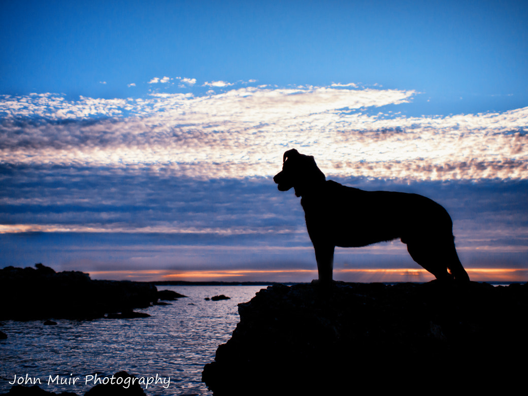 Olympus PEN E-P3 + Olympus M.Zuiko Digital 17mm F1.8 sample photo. Logan, soaking in this amazing sunset :) photography