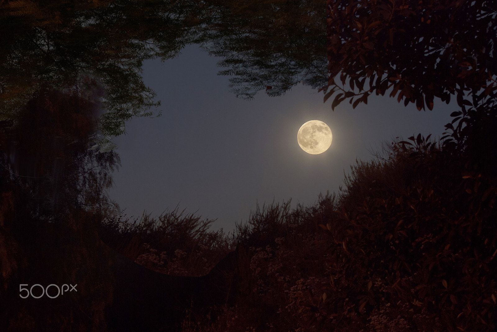 Nikon D80 sample photo. Thunder full moon photography