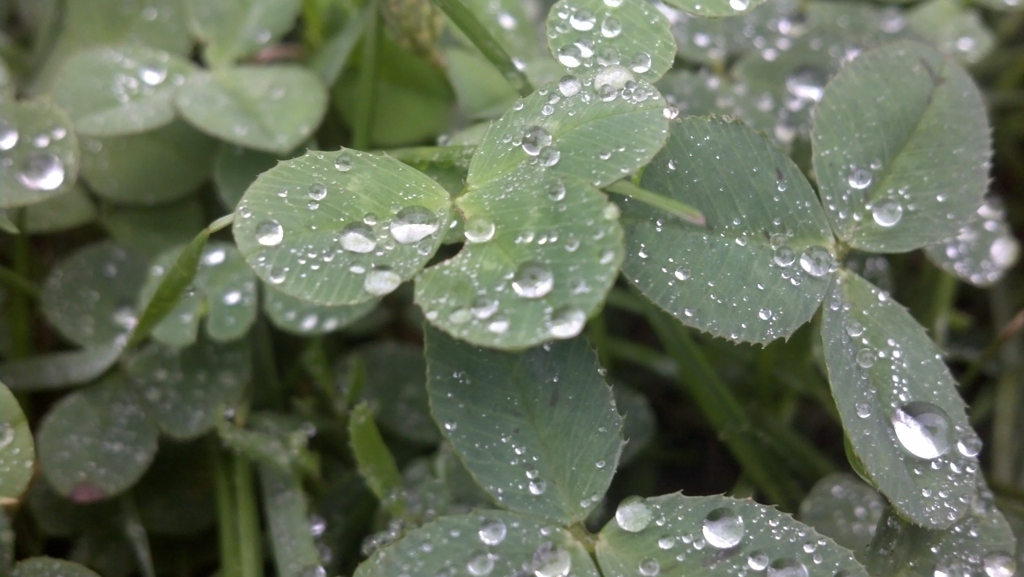 Motorola DROID RAZR sample photo