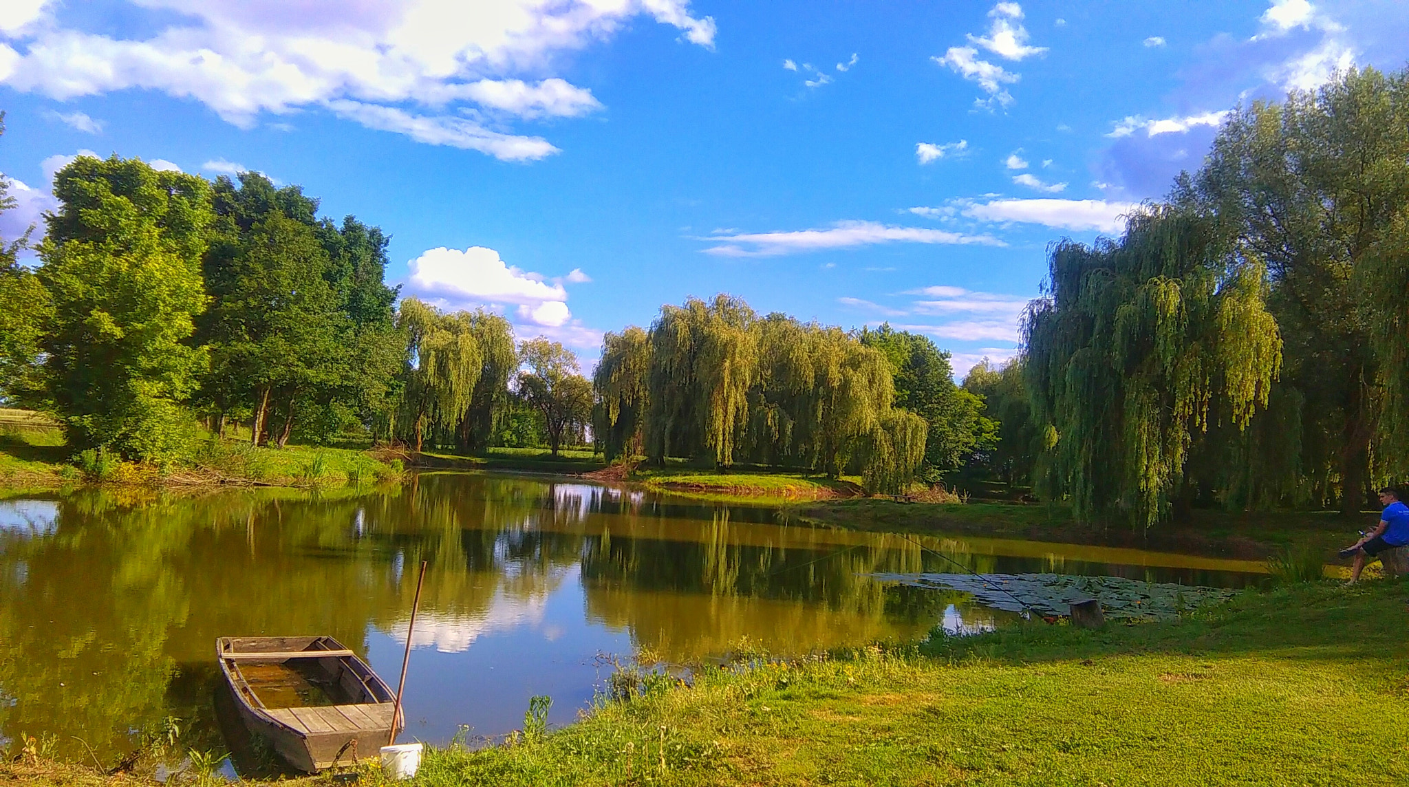 HTC DESIRE 620 sample photo. Poems of my photos photography